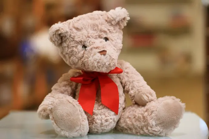 teddy bear sewing course